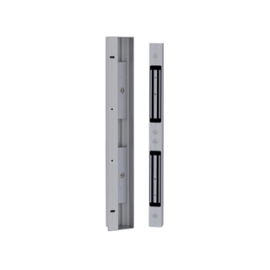 CPREG2N/60AS - ELECTROIMAN+CONTACTO 2x300KG 600mm 12/24V